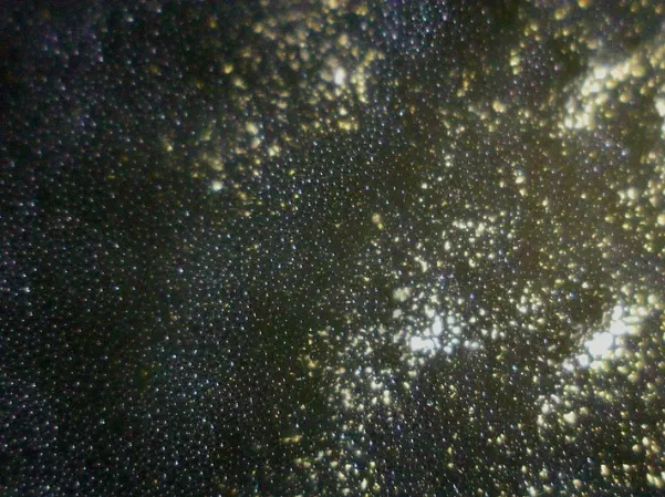 Captura de pantalla 2026-01-20 130747.webp